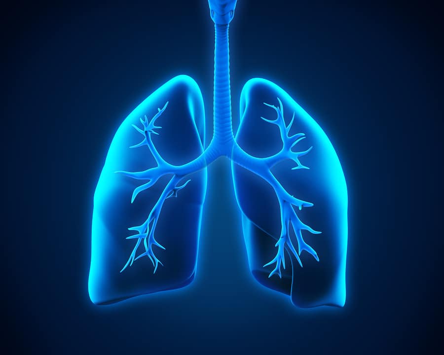 Elder Care in South Fork NY: Emphysema