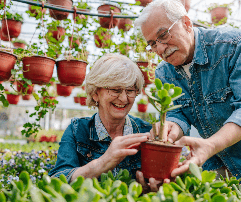 Senior Home Care in Shelter Island NY